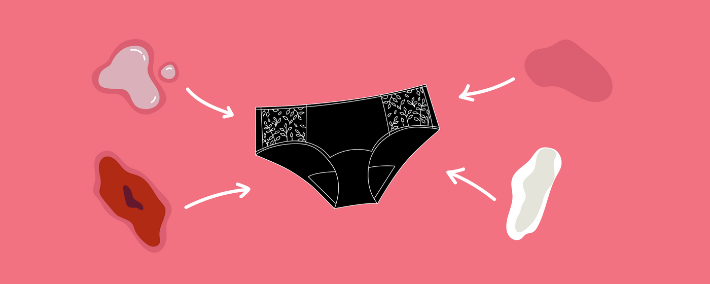 Les culottes menstruelles absorbent-elles l’urine ?