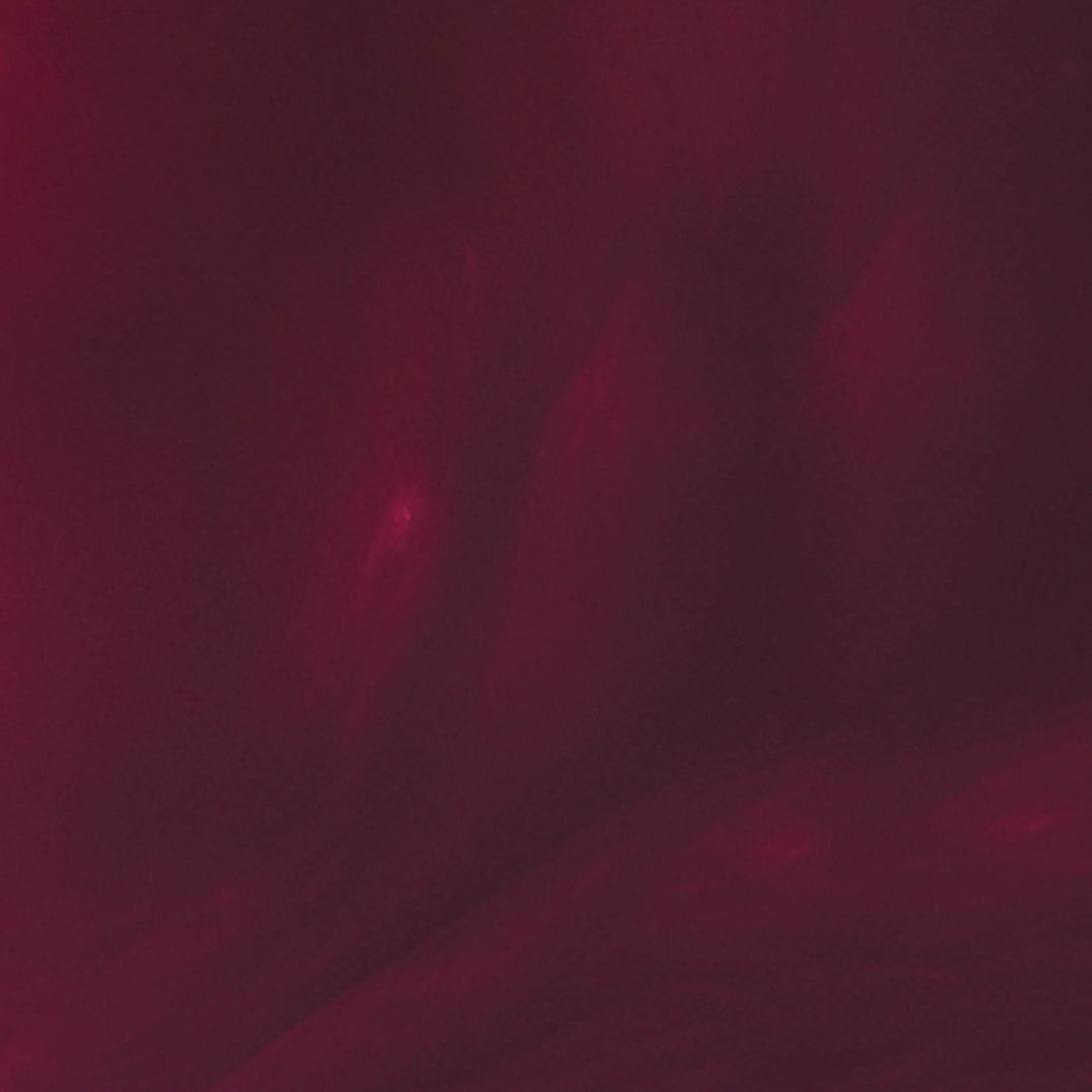 Nana_Teens25_GIF1.1_1x1--points-roses